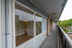 F08 1014STM Rubicondreef100.jpg